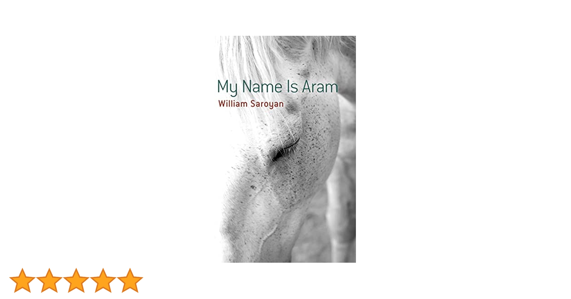 Amazon | My Name Is Aram (Dover Literature: Short Stories
